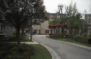 师友路6号院2室2厅东南