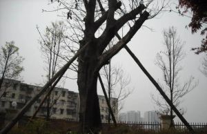 师友路6号院2室1厅东
