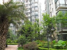 卓锦城一期 3室2厅 西南