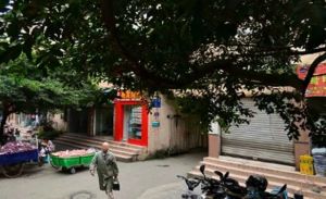 师友路4号3室1厅东南