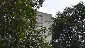金菊苑2室1厅南北