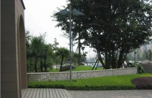 塔西南石油小区3室1厅东