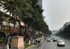 艺术家苑3室2厅南北