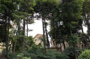 蓝泊湾4室2厅南