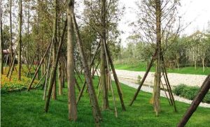 保利心语花园别墅5室2厅北