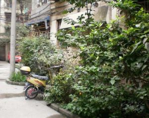 燃灯寺北街63号 2室2厅 南