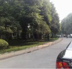 府河路苑2室1厅北
