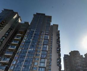 金鹏雅舍 2室1厅 东南