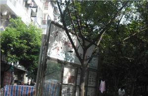 金泉丽都3室2厅东南
