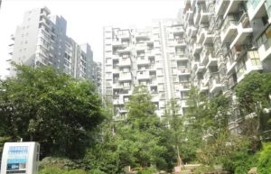 欣宇都市港湾2室2厅东南
