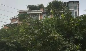 幸福丽景 1室1厅 南