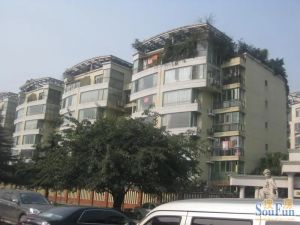 千禧花园3室2厅南
