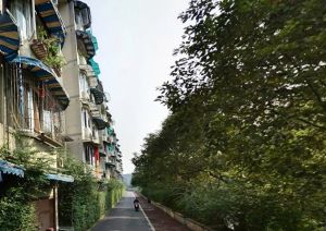 百卉路11号2室1厅南