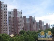 点睛苑小区3室2厅南