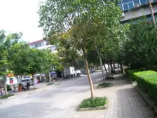 2007年的房子,双气精装修,税费清晰,业主诚心出售。