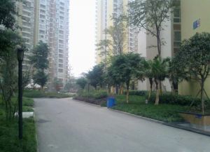 白兰地2室1厅南