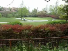 麓山国际帕萨迪纳3组 2室2厅 西北