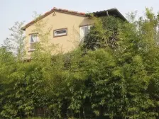 麓山国际帕萨迪纳3组 4室1厅 东 西