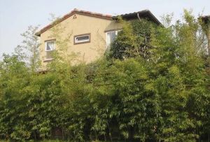 麓山国际帕萨迪纳3组2室1厅南北