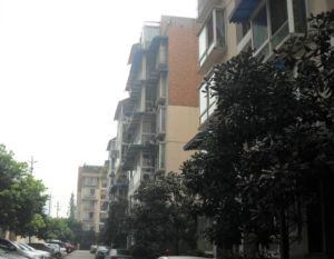 明阳家在回廊2室1厅南北