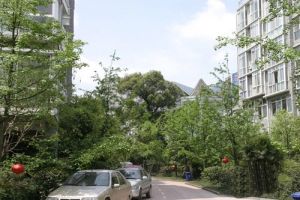 现代生态水城2室2厅西南