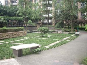 圣安卓花园3室2厅南北
