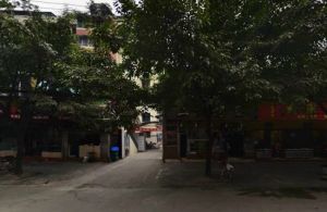 新风路46号2室2厅东南