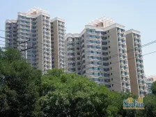 新津小区西院 1室1厅 南