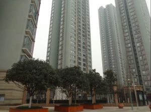 云水苑3室2厅西北