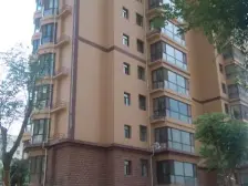 地铁口 精装修 电梯中层 拎包入住