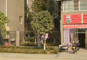 晶宝盛世桃源2室1厅西南