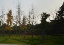 锦城豪庭 5室1厅 东南 西北