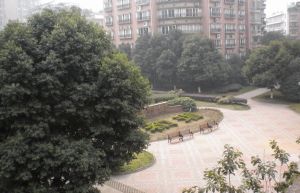 懋园国际商住城3室2厅南