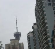 蓝色港湾 2室1厅 东 东南