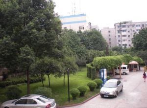 翔宇花园3室2厅南