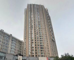 釜山国际城市公馆3室1厅东南