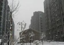 装修新 2012年交付 配套齐全 出行便利