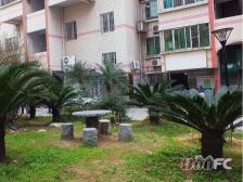 三叉街地铁口 02年商品房 中间楼层 采光好 低总价购。