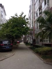 金泉名都3室2厅西北