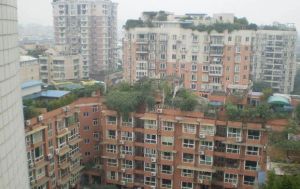 森桦苑2室2厅东西