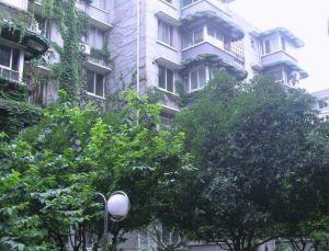 卫雅苑2室2厅东南