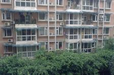 新东方 3室1厅 东南