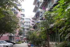 新东方 3室1厅 南