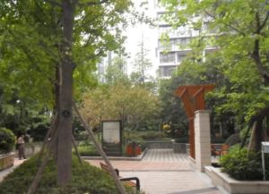 花间兰庭2室1厅西北