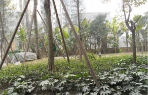 仁和迎宾2室1厅东南