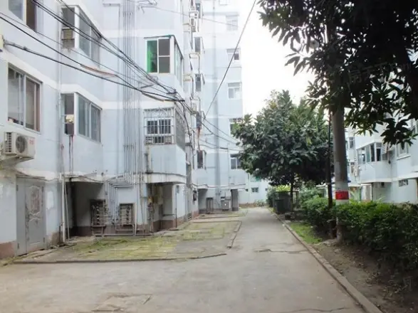 黎明新村樱花园