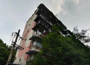 梅花庭园2室1厅东东南