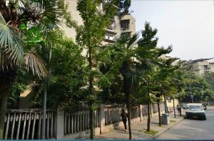 棕竹街3号2室1厅东南
