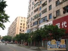 城丰路3房102方
