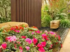 视野 视野 视野 还是视野 安静端户